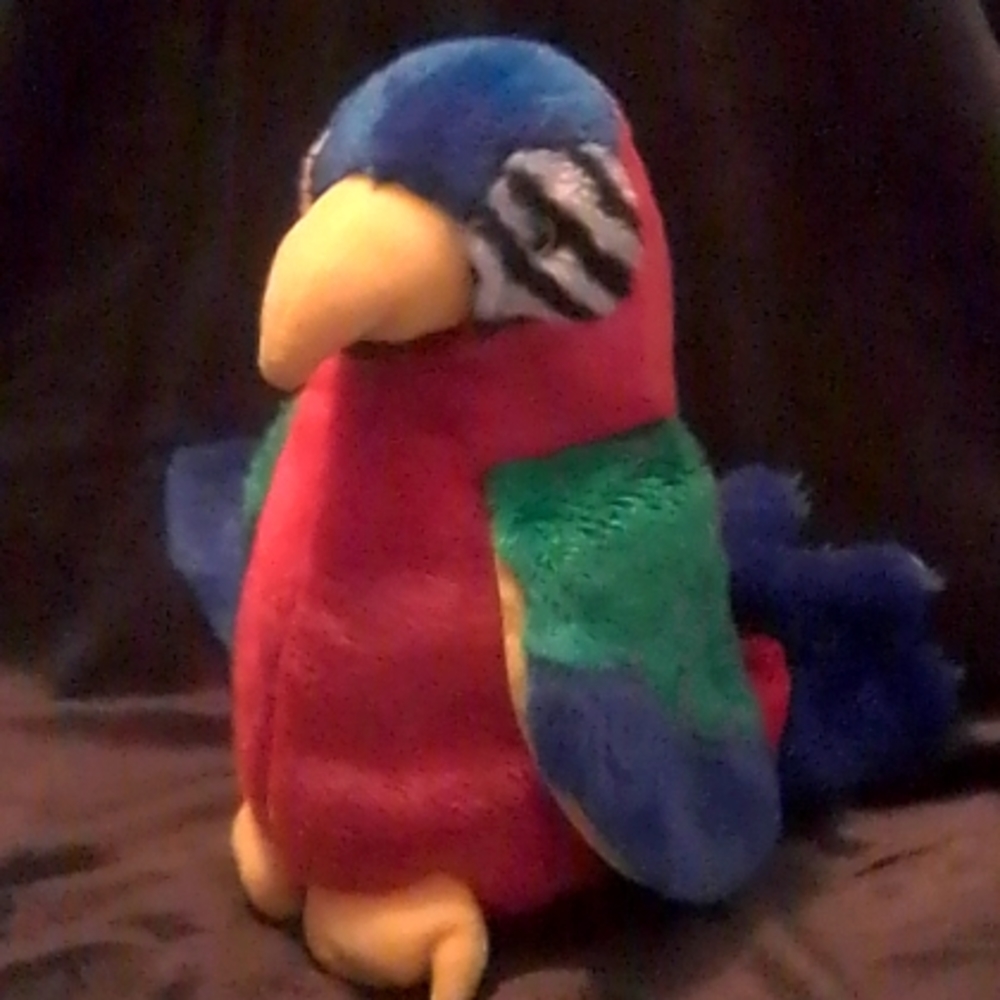 TY beanie Buddy